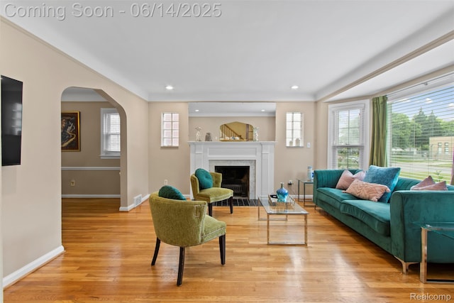 16136 Whitcomb St, Detroit, MI 48235 - living area featuring light wood-style flooring, a high end fireplace, arched walkways, and recessed lighting