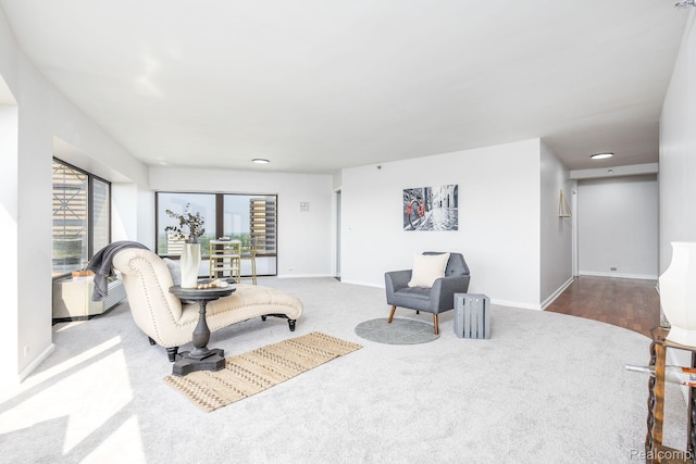 5000 Town Ctr Unit 2001, Southfield, MI 48075 - living area featuring carpet floors and baseboards