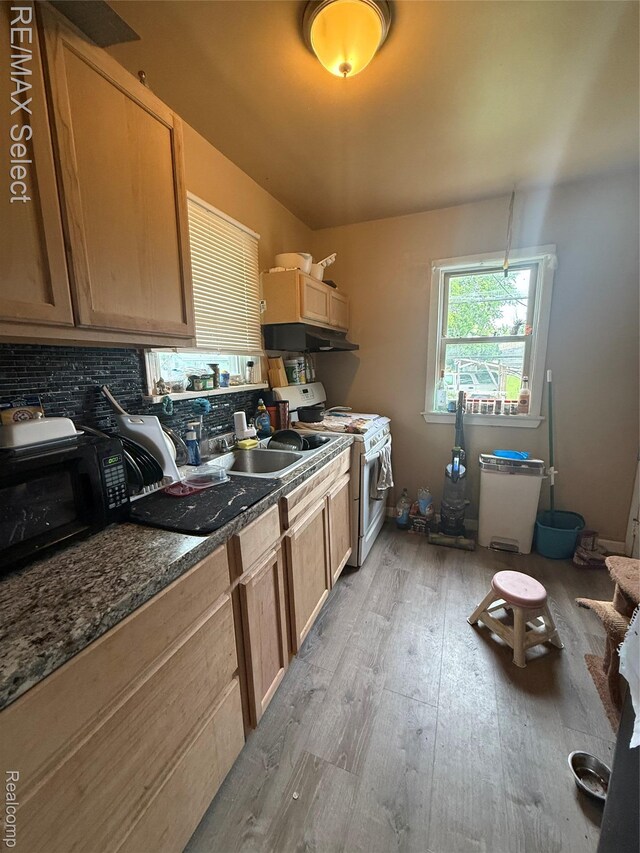 1601 Mabel Ave, Flint, MI 48506 - photo 4
