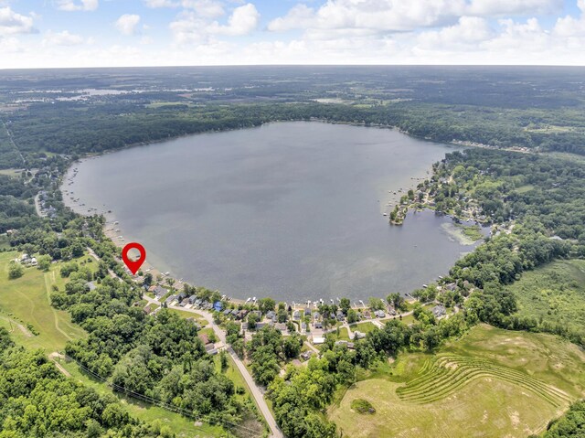220 Pentecost Hwy, Onsted, MI 49265 - photo 49