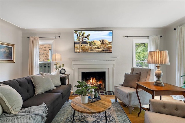 1115 Keneberry Way SE, East Grand Rapids, MI 49506 - living area with wood finished floors and a tile fireplace