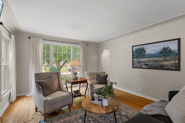 1115 Keneberry Way SE, East Grand Rapids, MI 49506 - living room featuring arched walkways and light wood-style flooring
