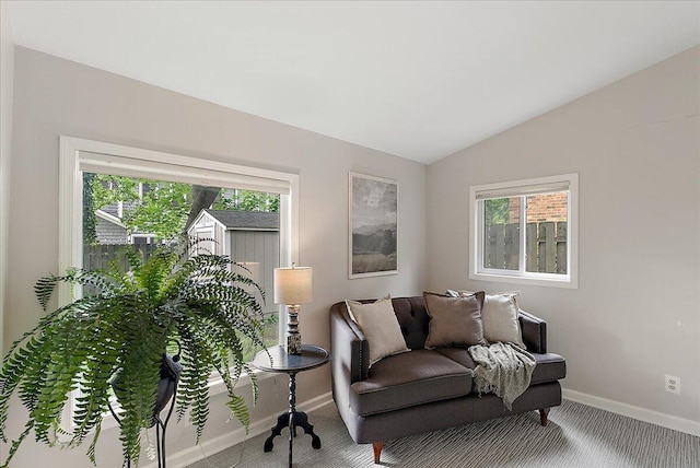 1115 Keneberry Way SE, East Grand Rapids, MI 49506 - living room with carpet flooring and lofted ceiling