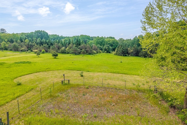 19275 N Coates Hwy, Brethren, MI 49619 - view of yard