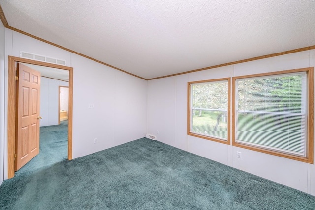 19275 N Coates Hwy, Brethren, MI 49619 - unfurnished room featuring lofted ceiling, ornamental molding, carpet flooring, a textured ceiling, and a decorative wall