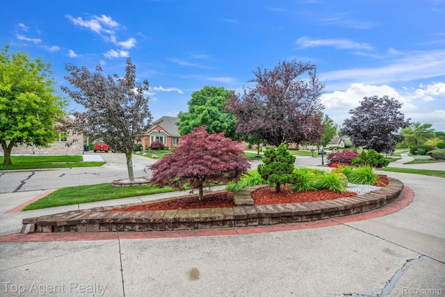 13205 Van Pamel Dr, Shelby Twp, MI 48315 - view of home's community featuring curved driveway