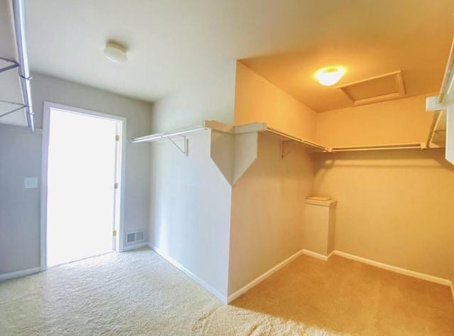 1924 Savannah Ln, Ypsilanti, MI 48198 - spacious closet featuring carpet flooring and attic access