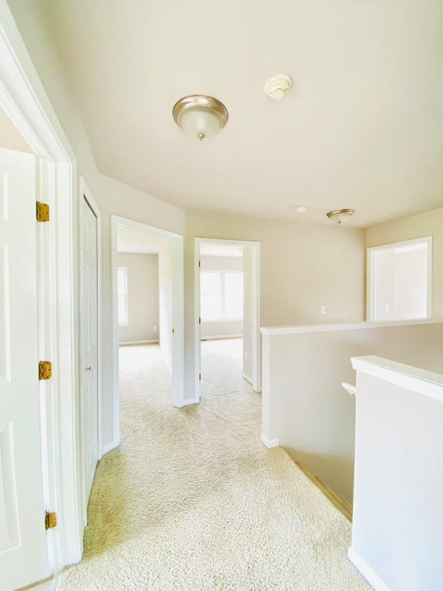 1924 Savannah Ln, Ypsilanti, MI 48198 - hallway featuring carpet floors and an upstairs landing