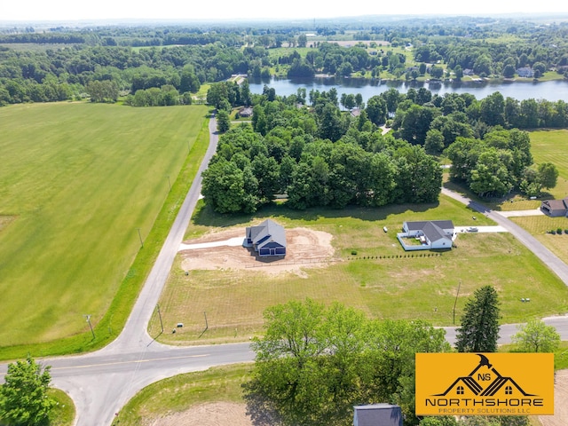 3973 W Harrison Rd, Hart, MI 49420 - aerial view of a large body of water