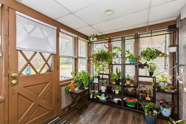 2885 Bluff St, Stevensville, MI 49127 - sunroom featuring a paneled ceiling, wood finished floors, and plenty of natural light