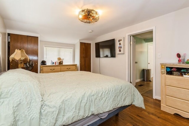 2885 Bluff St, Stevensville, MI 49127 - bedroom with dark wood-style flooring and two closets