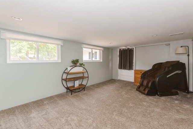 2885 Bluff St, Stevensville, MI 49127 - sitting room with carpet