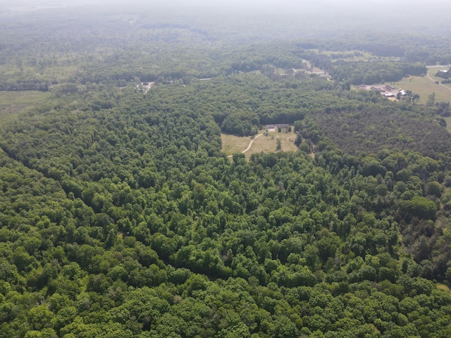 143 Tree Stand Rd, Rose City, MI 48654 - aerial view of a forest