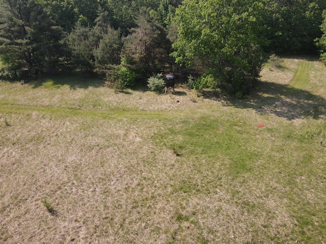 143 Tree Stand Rd, Rose City, MI 48654 - view of woods