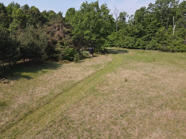143 Tree Stand Rd, Rose City, MI 48654 - view of grassy yard featuring a view of trees