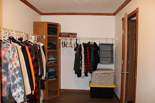 143 Tree Stand Rd, Rose City, MI 48654 - spacious closet with wood finished floors
