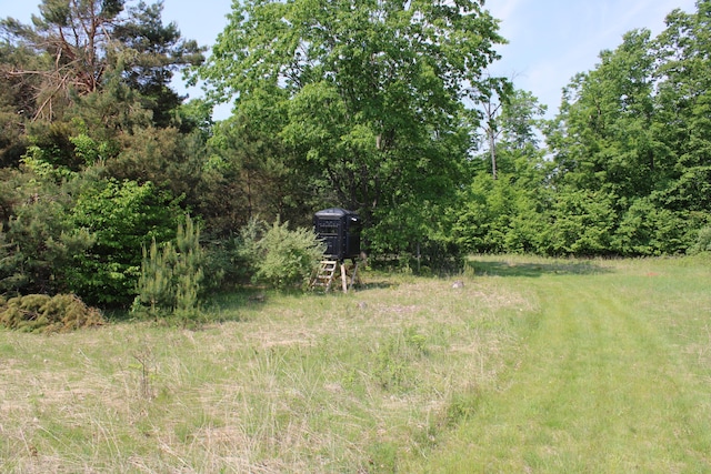 143 Tree Stand Rd, Rose City, MI 48654 - view of yard