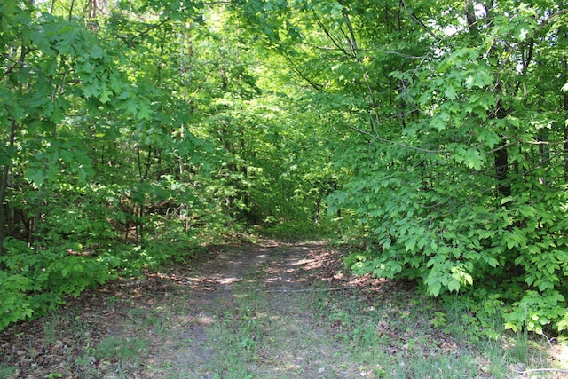 143 Tree Stand Rd, Rose City, MI 48654 - view of wooded area