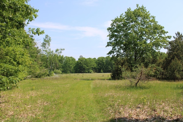 143 Tree Stand Rd, Rose City, MI 48654 - view of yard featuring a forest view