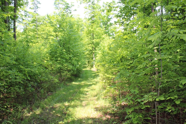 143 Tree Stand Rd, Rose City, MI 48654 - view of tree filled area