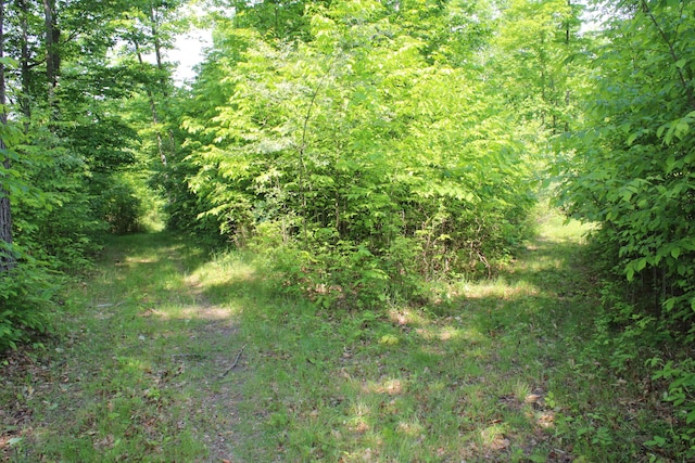 143 Tree Stand Rd, Rose City, MI 48654 - view of woods