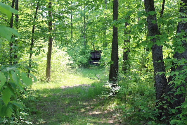 143 Tree Stand Rd, Rose City, MI 48654 - view of woods