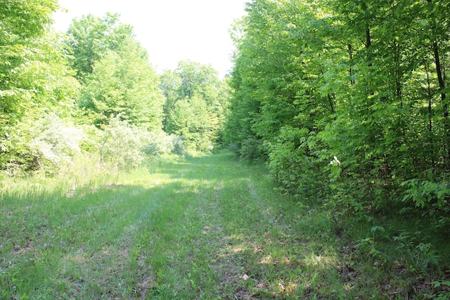 143 Tree Stand Rd, Rose City, MI 48654 - view of woods
