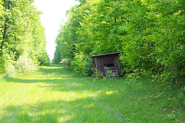 143 Tree Stand Rd, Rose City, MI 48654 - view of yard