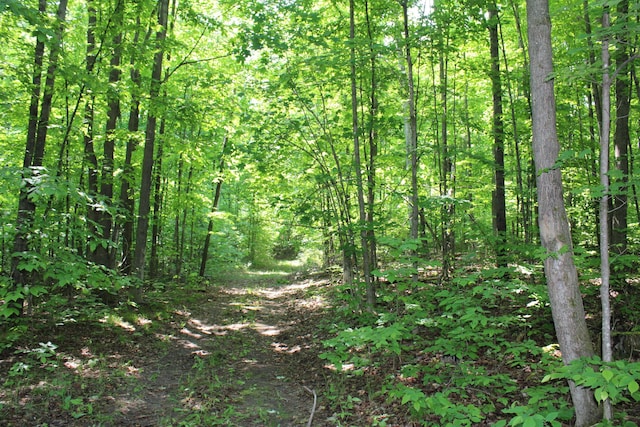 143 Tree Stand Rd, Rose City, MI 48654 - view of woods