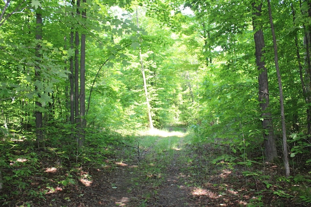 143 Tree Stand Rd, Rose City, MI 48654 - view of woods