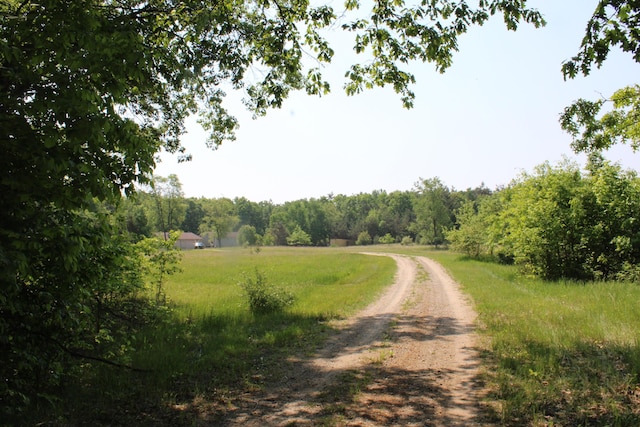 143 Tree Stand Rd, Rose City, MI 48654 - view of dirt / gravel road featuring a view of trees and a rural view