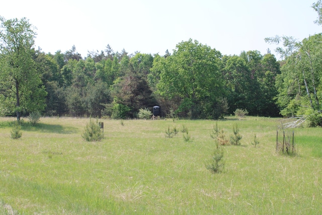 143 Tree Stand Rd, Rose City, MI 48654 - view of local wilderness