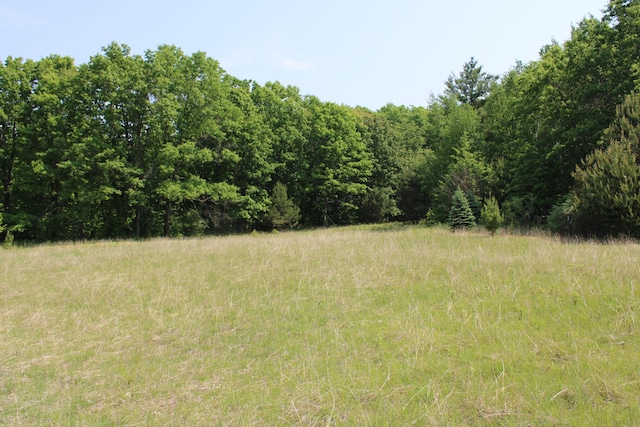 143 Tree Stand Rd, Rose City, MI 48654 - view of tree filled area