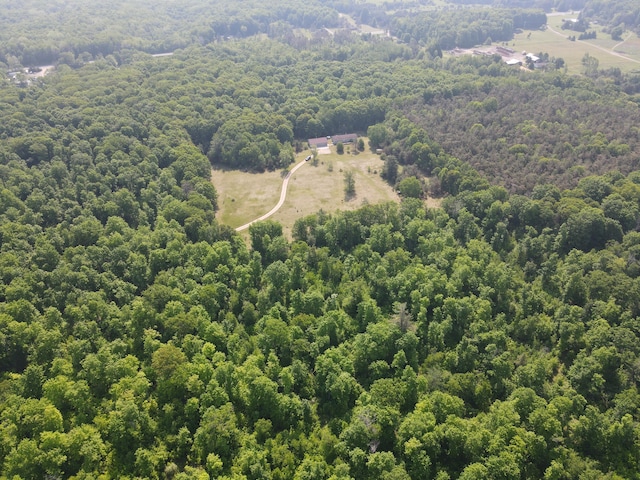 143 Tree Stand Rd, Rose City, MI 48654 - bird's eye view of a forest