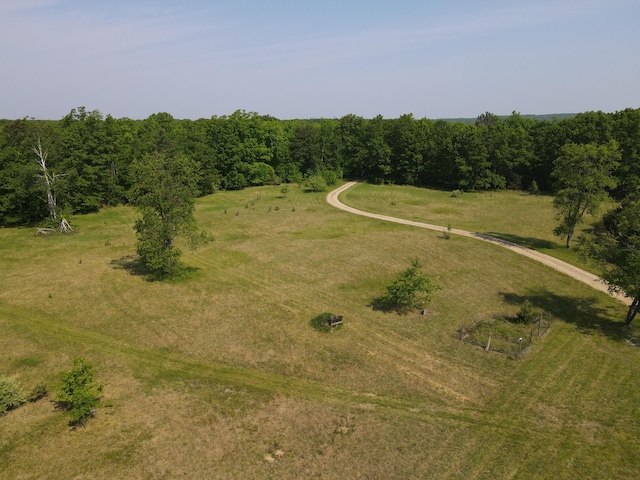 143 Tree Stand Rd, Rose City, MI 48654 - aerial view of property's location with rural landscape