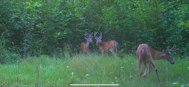 143 Tree Stand Rd, Rose City, MI 48654 - exterior view