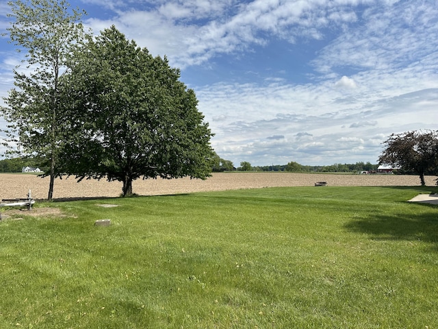 4691 2nd St, Caledonia, MI 49316 - view of green lawn