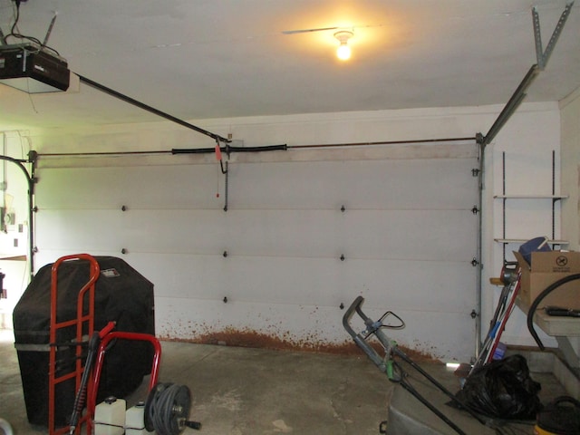 507 Mackinaw St, Durand, MI 48429 - garage with a garage door opener