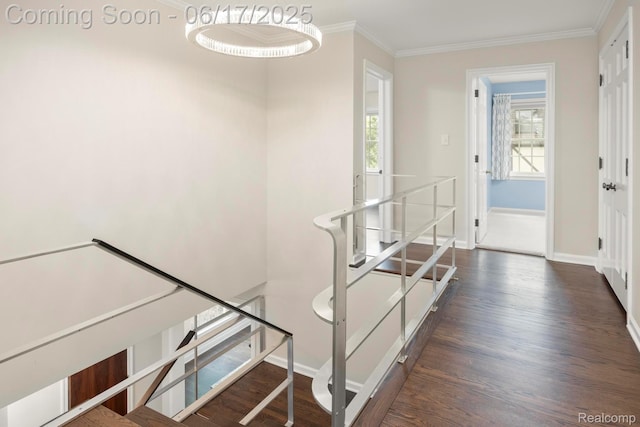 33 Oxford Blvd, Pleasant Ridge, MI 48069 - stairs featuring wood finished floors and ornamental molding