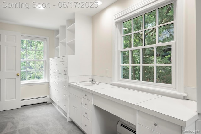 33 Oxford Blvd, Pleasant Ridge, MI 48069 - bathroom with baseboard heating and vanity