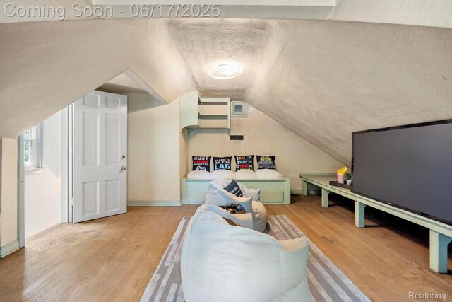 33 Oxford Blvd, Pleasant Ridge, MI 48069 - bedroom with wood finished floors, vaulted ceiling, and a textured ceiling
