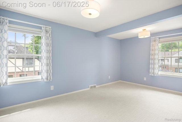 33 Oxford Blvd, Pleasant Ridge, MI 48069 - spare room with healthy amount of natural light and carpet