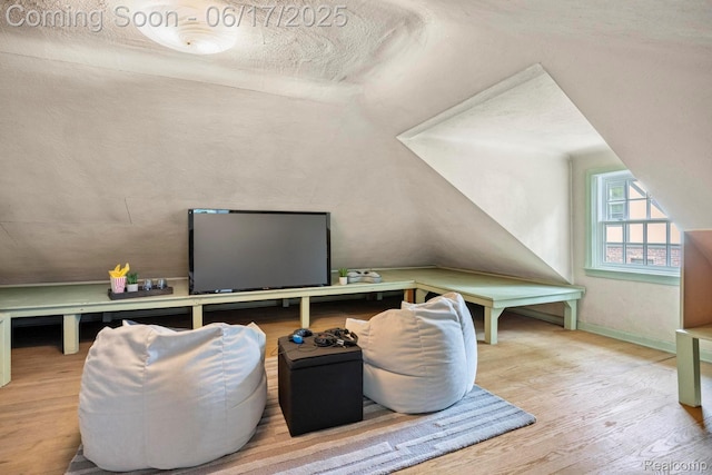 33 Oxford Blvd, Pleasant Ridge, MI 48069 - office featuring wood finished floors, lofted ceiling, and a textured ceiling