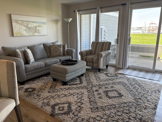 113 Millpoint Dr Unit 113, Spring Lake, MI 49456 - living area featuring wood finished floors