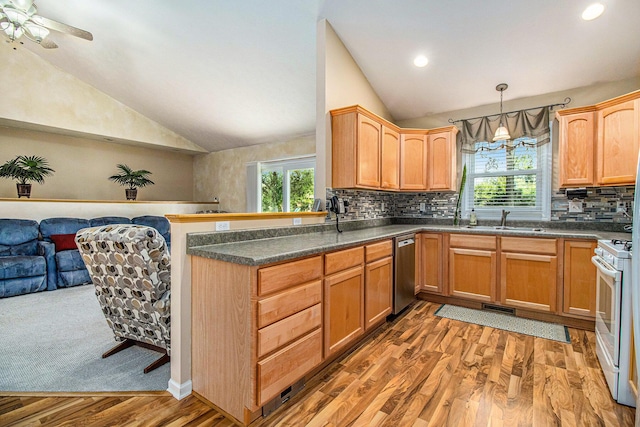 4497 Tiffany Ave, Portage, MI 49002 - kitchen with lofted ceiling, gas range gas stove, stainless steel dishwasher, a peninsula, and light wood-style flooring