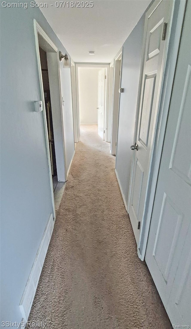 11676 Pine St, Taylor, MI 48180 - photo 10
