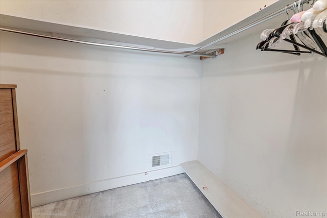 42134 Toddmark Ln, Clinton Township, MI 48038 - walk in closet with carpet floors