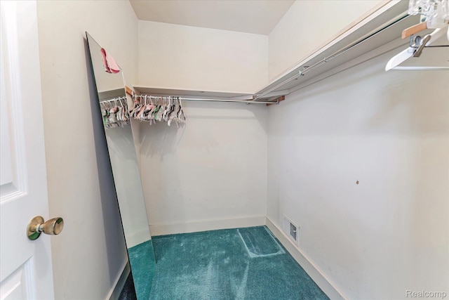 42134 Toddmark Ln, Clinton Township, MI 48038 - walk in closet featuring carpet flooring
