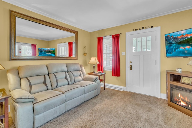 741 Lawrence St, Jackson, MI 49203 - carpeted living area featuring crown molding and baseboards