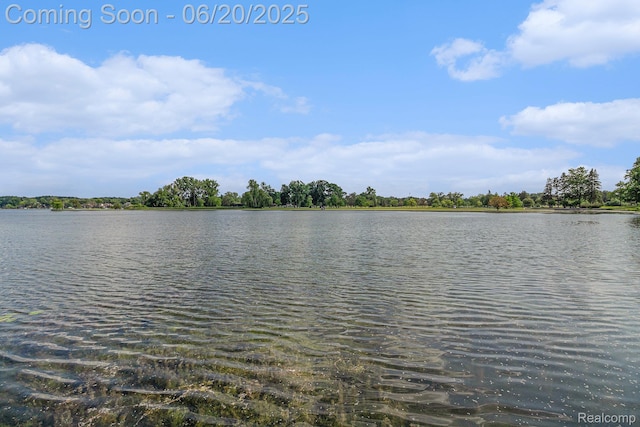 3280 Chambourne St, Ferndale, MI 48382 - water view